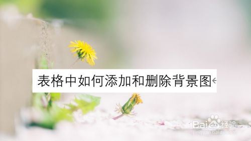 Excel2019怎么添加、删除背景图？Excel2019添加、删除背景图教程”