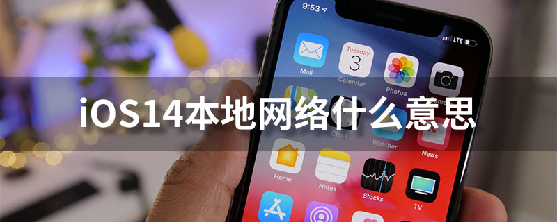 ios14本地网络什么意思”