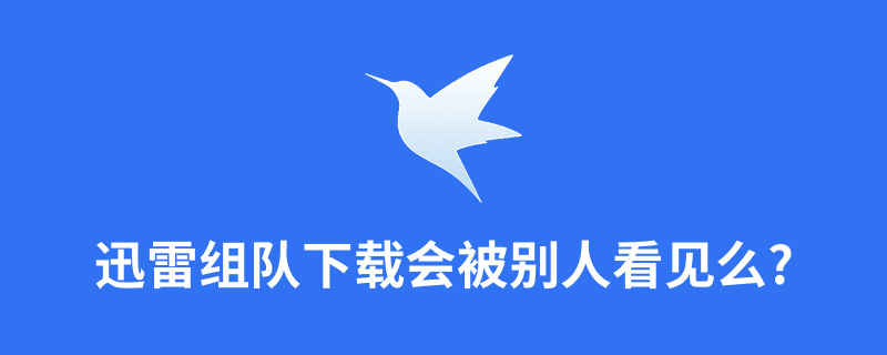 迅雷组队下载会被别人看见么?”