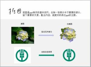 PPT抠图教程 PPT自带完美无遗憾快速抠图技法学习