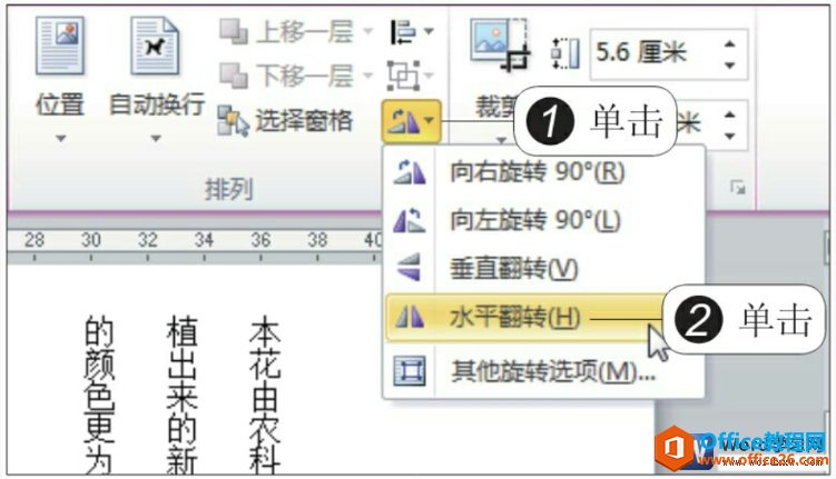word 图片旋转功能使用实例教程