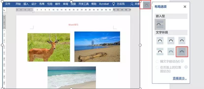 wps office怎么设置图片？”