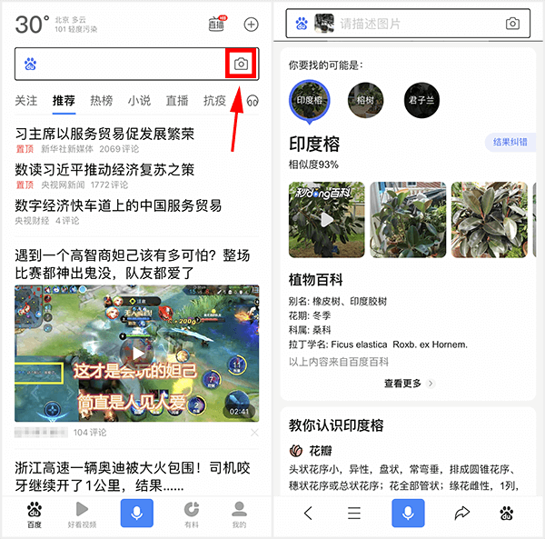查植物怎么扫一扫