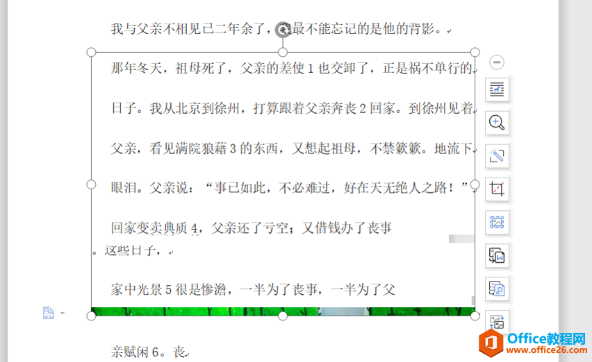 Word中图片显示不全怎么办
