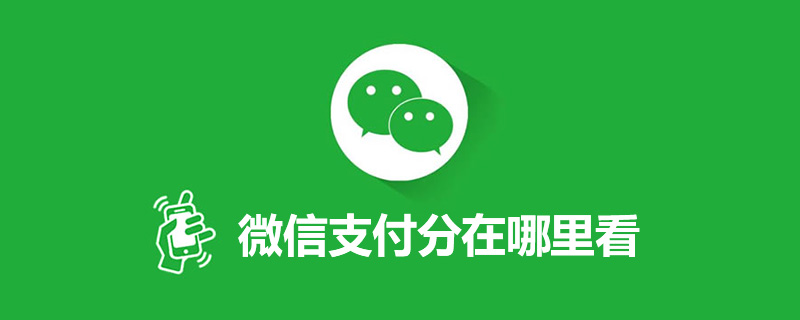 微信支付分在哪里看”