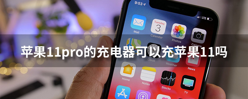 苹果11pro的充电器可以充苹果11吗”
