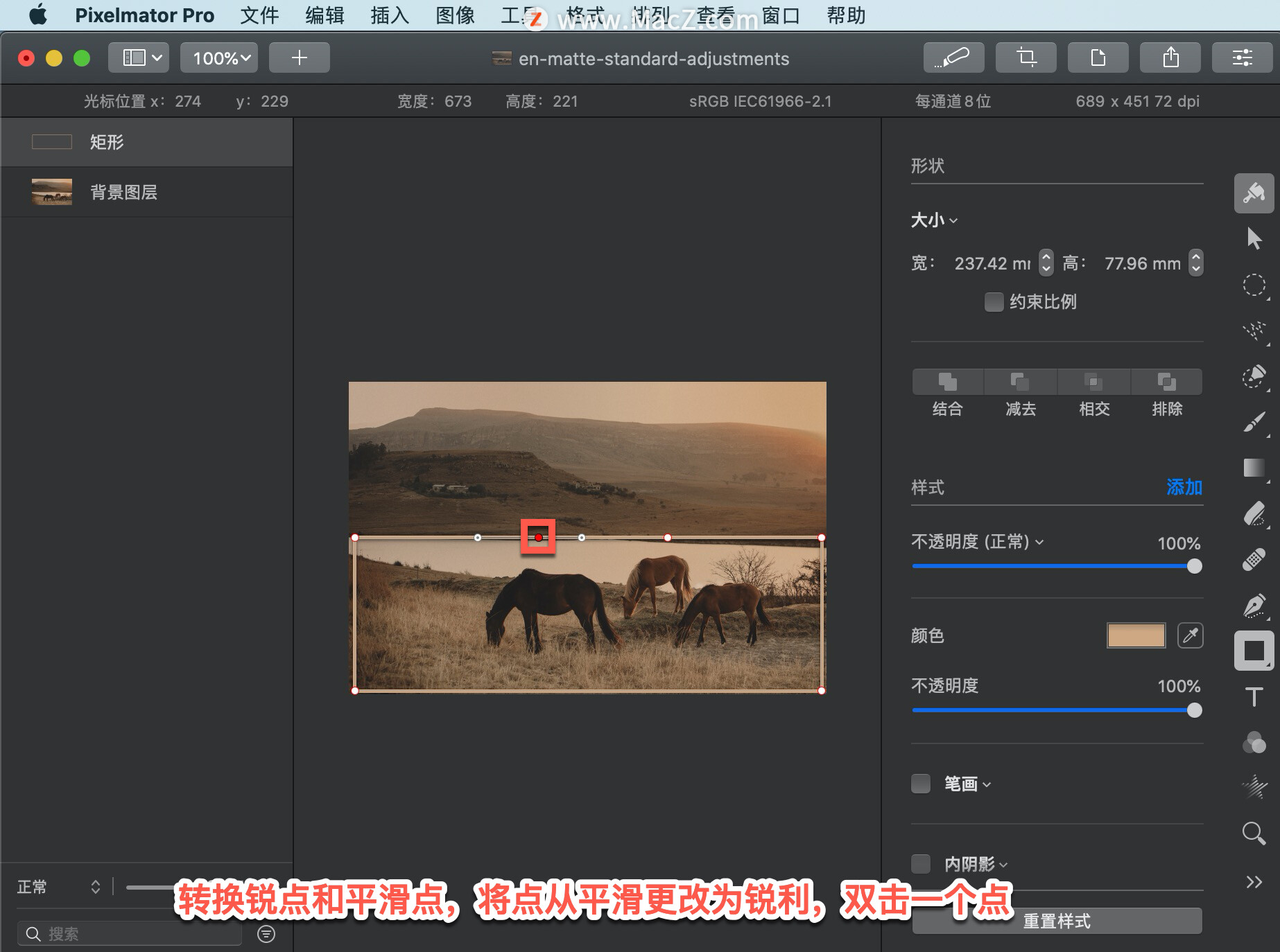 Pixelmator Pro 教程「210」，如何在 Pixelmator Pro 中转换锐点和平滑点？”
