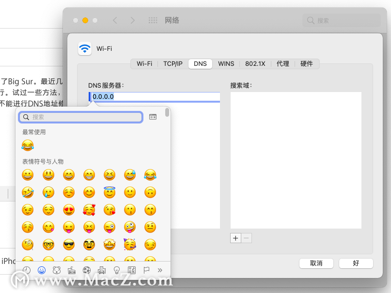 苹果Mac更新了Big Sur后，修改DNS出现“字符检视器”怎么办？”