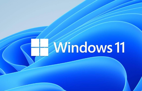 Win11C盘分区多大合适？Win11分区C盘留多大？”