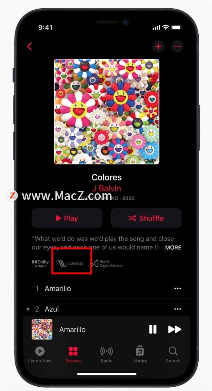 Apple Music 开启推送无损音频”