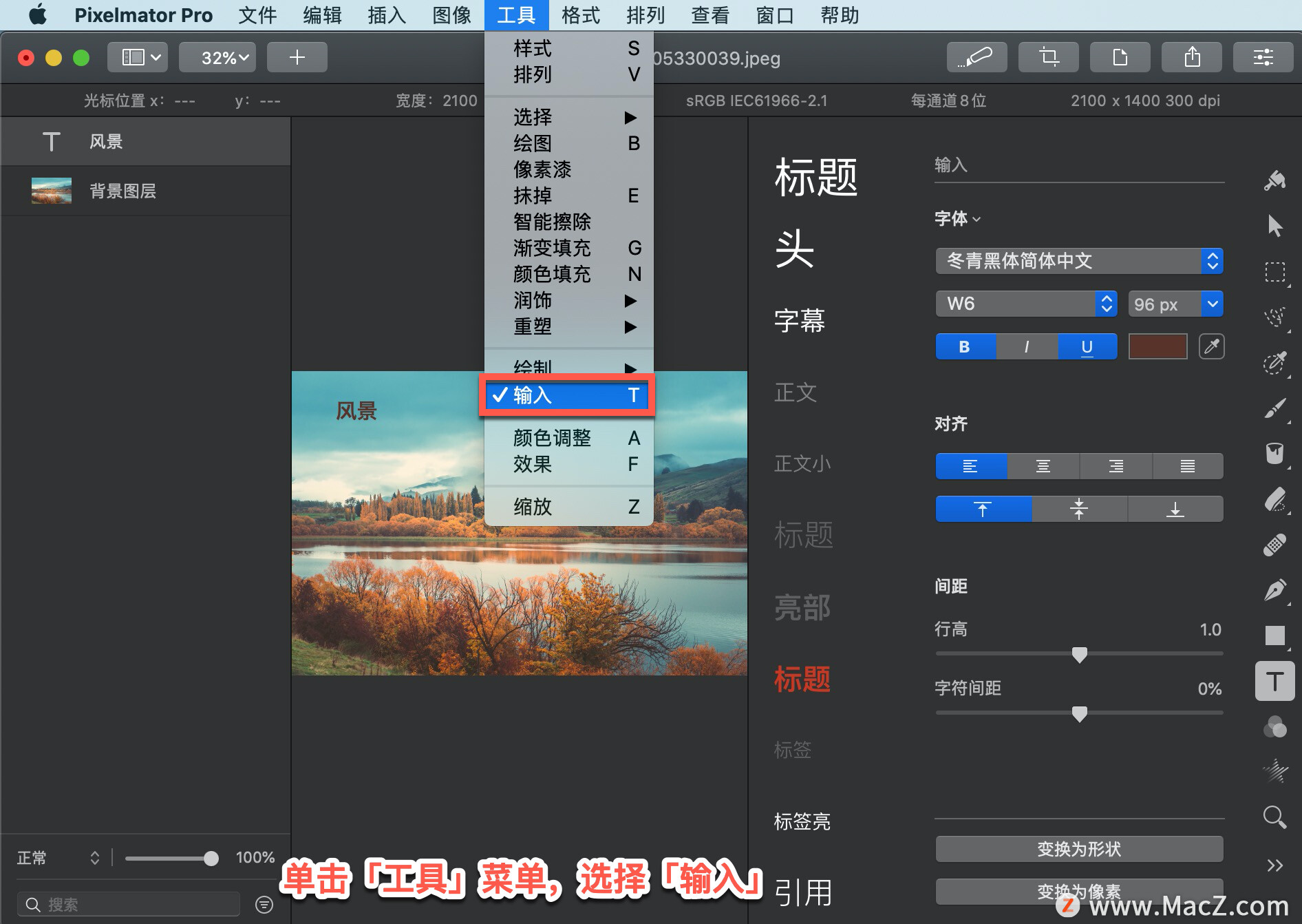 Pixelmator Pro 教程「167」，如何在 Pixelmator Pro 中调整字符间距？”