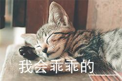 Word中实用的6个小技巧，全会的人才算是大神，你确定你会吗？”