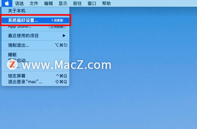 在苹果Mac上的Safari中如何禁用选项卡预览？”