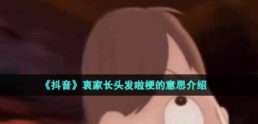 哀家长头发了梗出自哪部动画片_哀家长头发了梗出处与含义介绍”