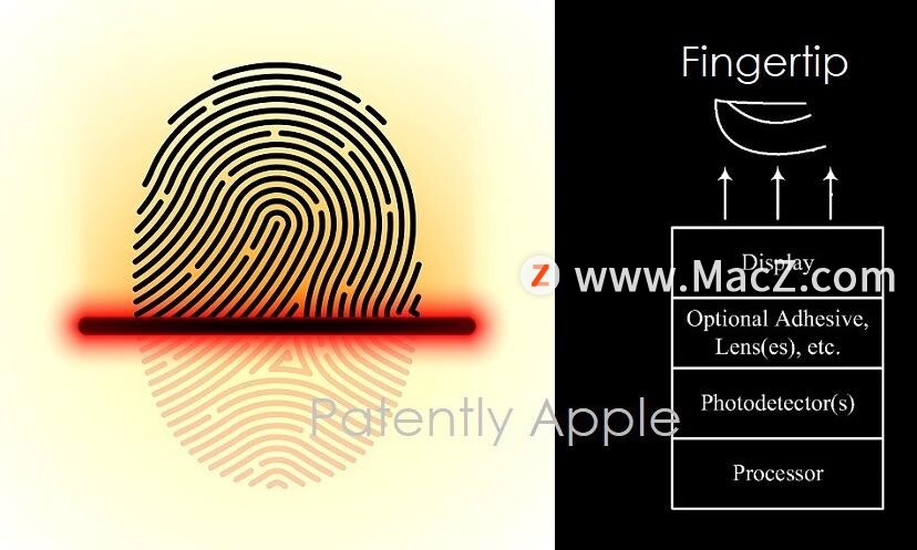 新专利曝光：苹果可能在研发屏下 Face ID 和 Touch ID”