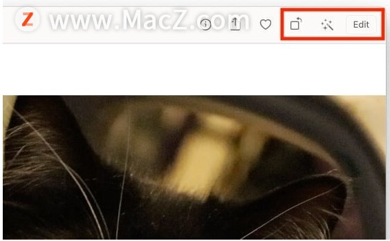 如何在macOS Big Sur的Photos中编辑视频？”