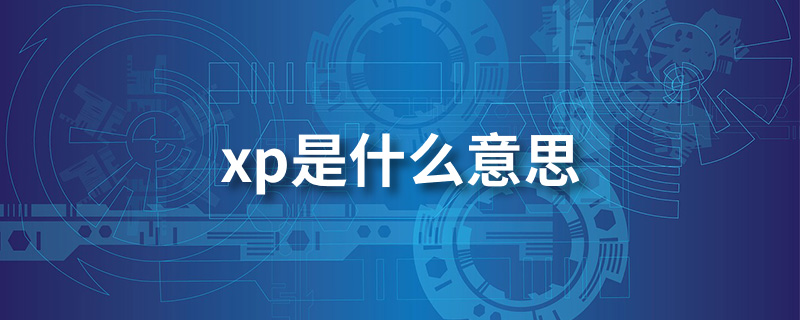 xp是什么意思