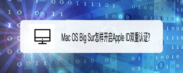 MacOS Big Sur系统怎么进行Apple ID双重认证?”