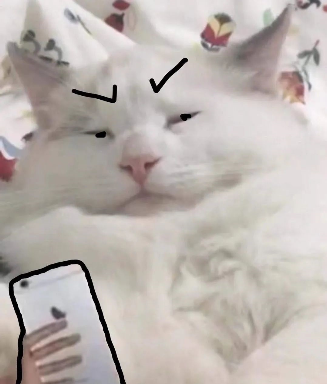 word的页面设置在哪里？”
