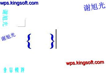 WPS下域可以轻松实现分数的输入”