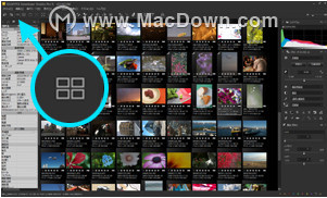 SILKYPIX Developer Studio Pro 9 Mac显示模式都有哪些？