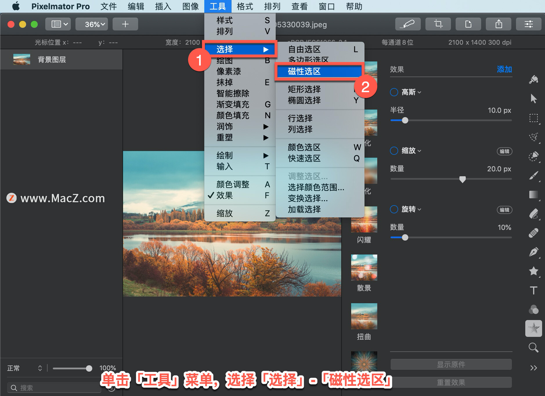 Pixelmator Pro 教程「196」，如何在 Pixelmator Pro 中使用磁性选区工具？”