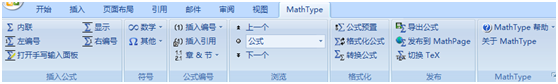 word中常见的MathType公式问题”