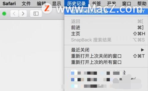 如何清除Safari 浏览器的历史记录？”