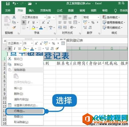 如何在excel2019中调整单元格的行高和列宽”