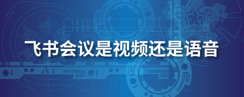 飞书会议是视频还是语音”