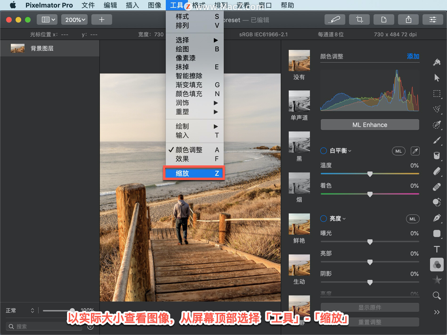 Pixelmator Pro 教程「3」，如何在 Pixelmator Pro 中以实际大小查看图像？”