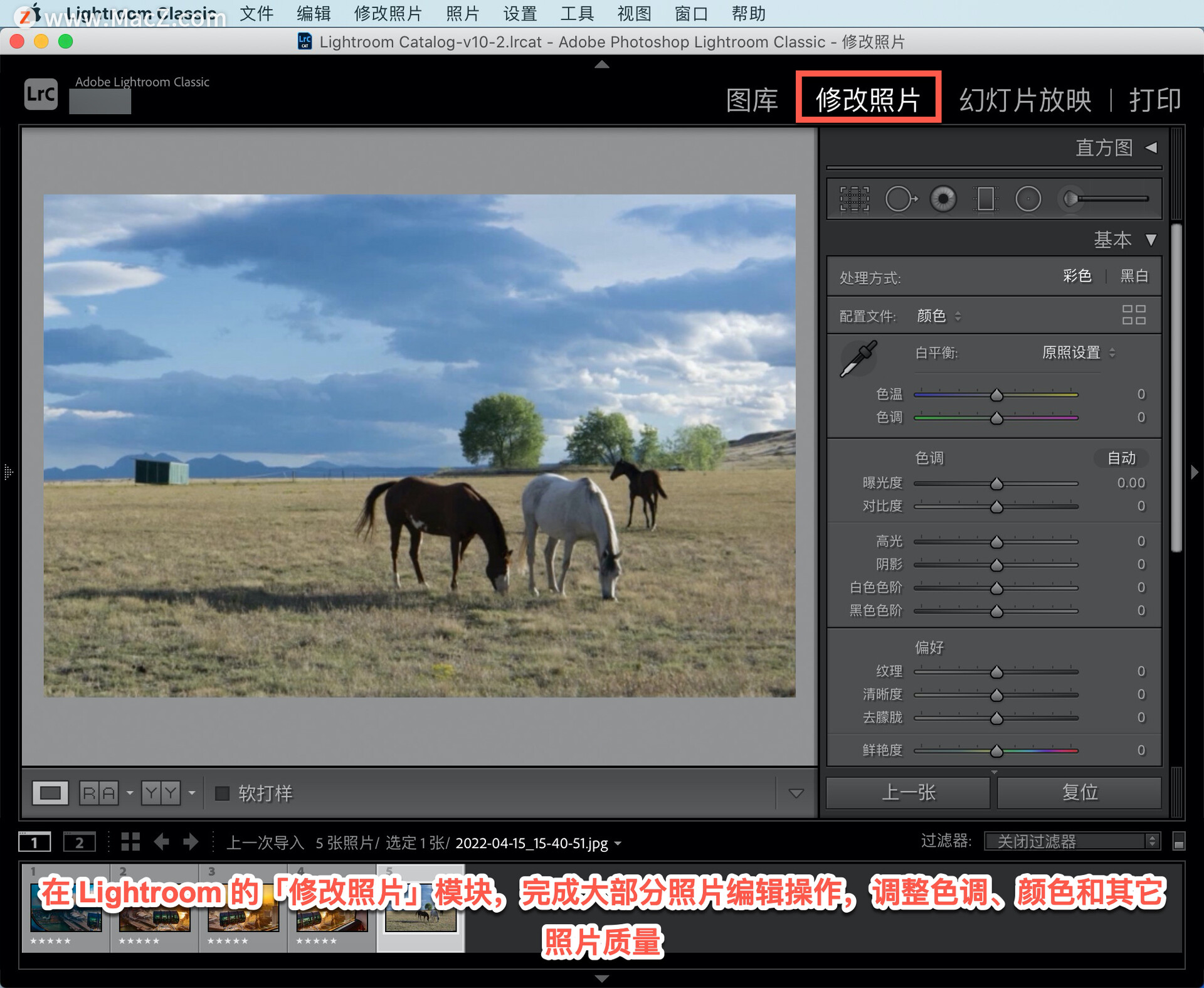 Lightroom Classic 教程「22」，如何使用 Photoshop 和 Lightroom 优化照片？”