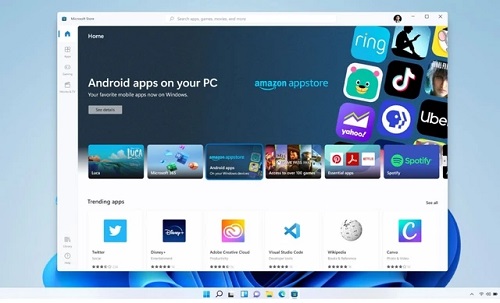 Win11怎么设置睡眠？Win11设置睡眠时间的方法