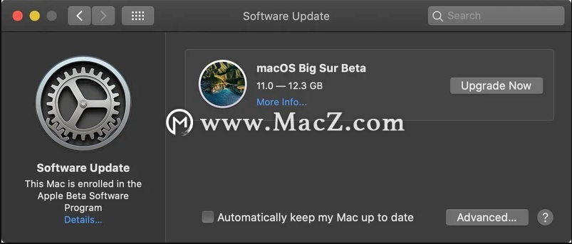 苹果发布 macOS 11 Big Sur 公测版