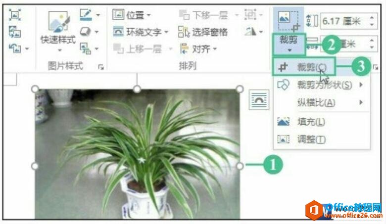 word 2016裁剪图片