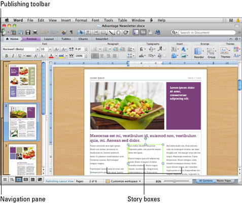 如何在Mac 2011中的Word中使用发布布局视图？”