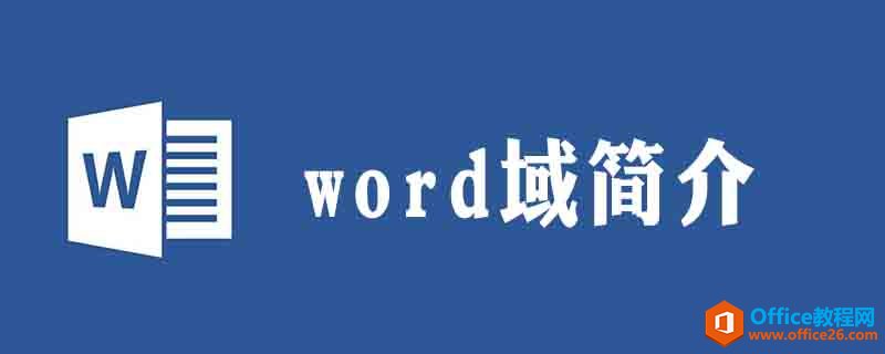 在word中何为域”