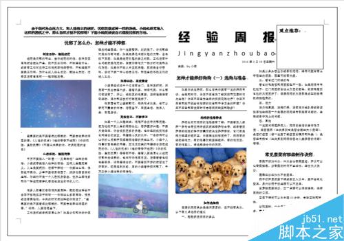 使用Word简单制作一份手抄报、报纸、海报”