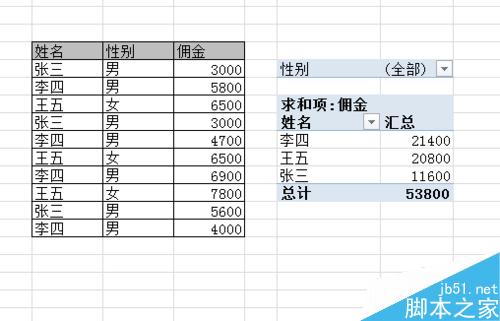 excel的透视功能对分组进行求和”