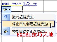 Excel在单元格中输入网络地址时不自动转换为超链接”