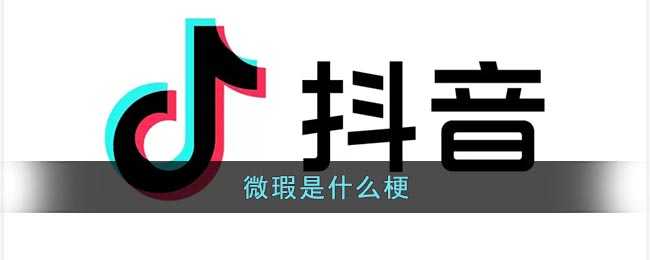 抖音微瑕是什么梗？抖音微瑕梗的出处和含义”