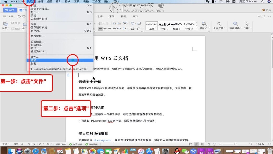 WPS Office Mac如何备份文件到本地或者云端
