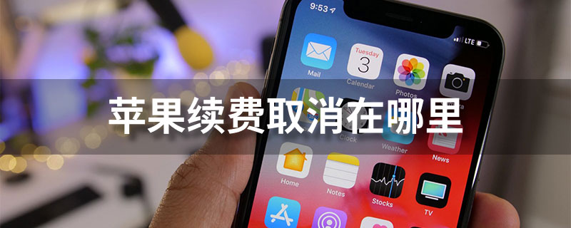苹果续费取消在哪里”
