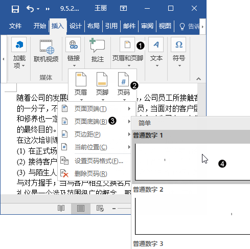 wps怎么插入页码？”