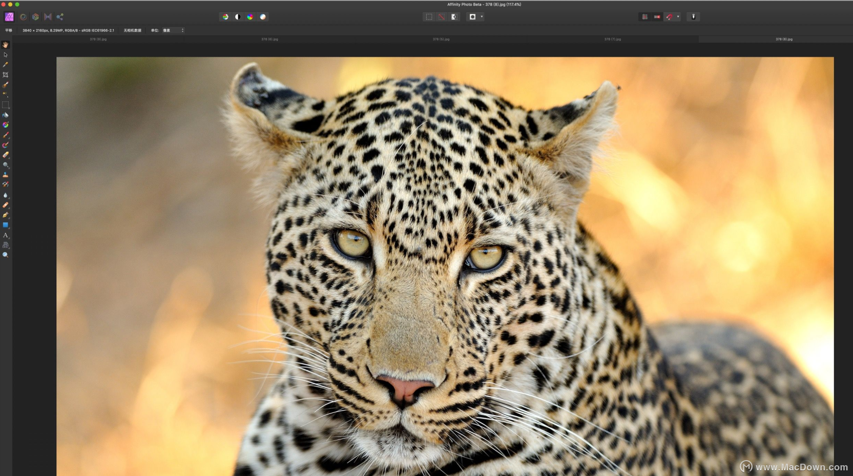 affinity photo和ps哪个好用？affinity photo：快速入门指南”