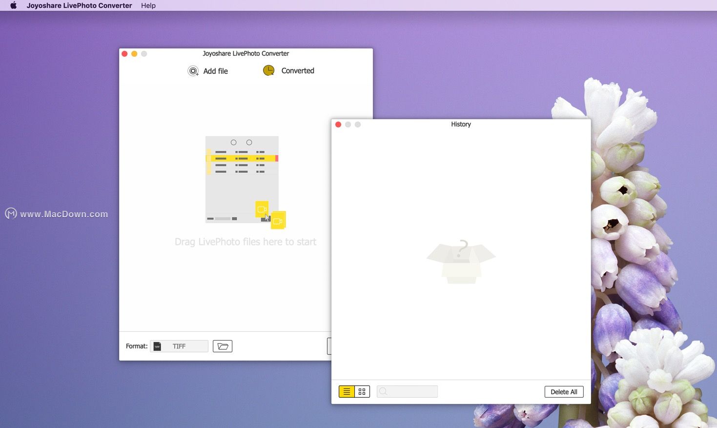 如何高效解决照片格式转换问题：Joyoshare LivePhoto Converter使用指南