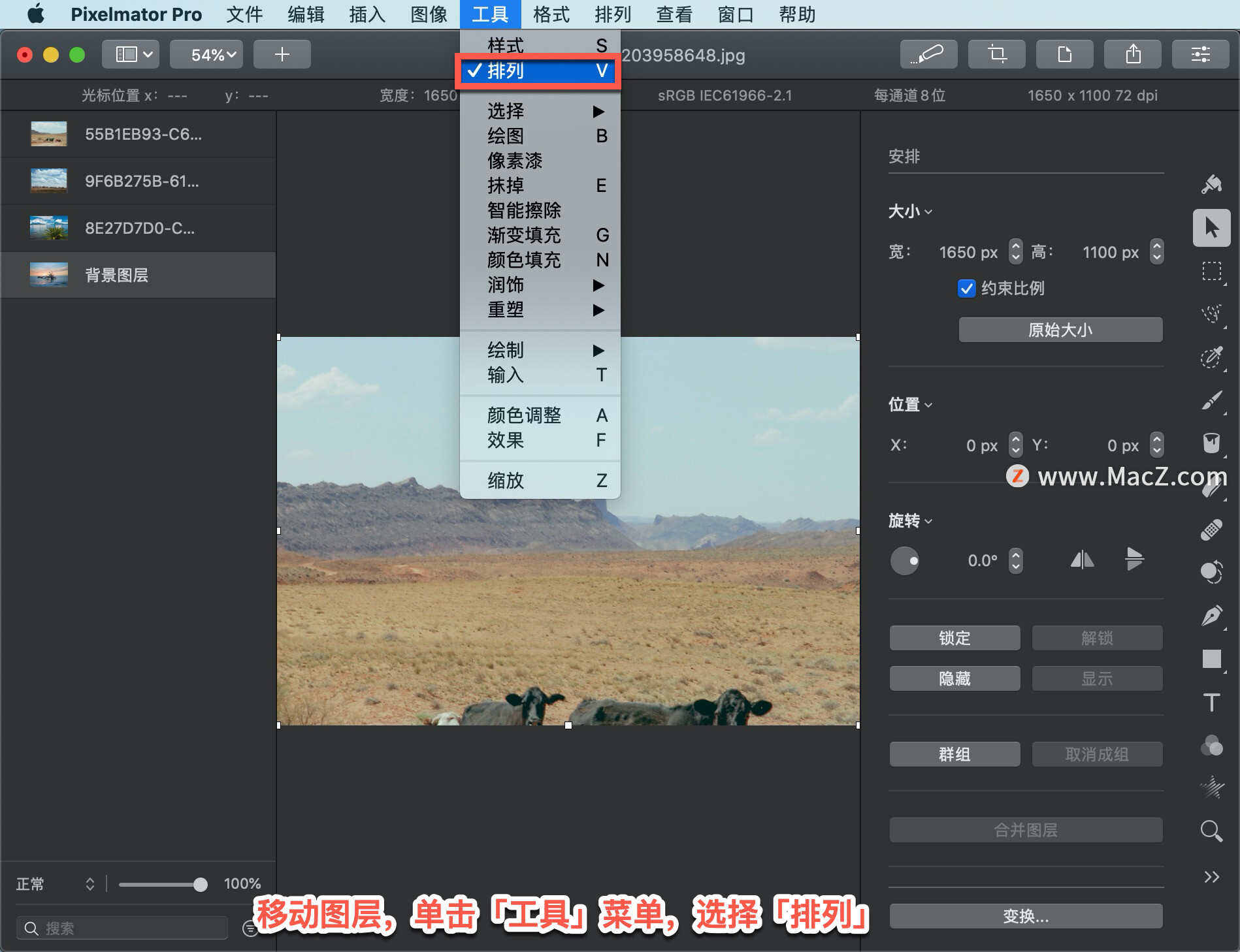 Pixelmator Pro 教程「27」，如何在 Pixelmator Pro 中移动图层？”