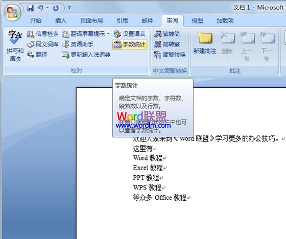如何利用Word2007字数统计功能统计文档中所有字符信息