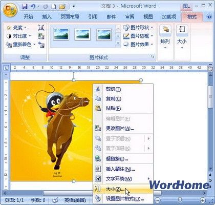 Word2007 图片裁剪的2种方法小结”