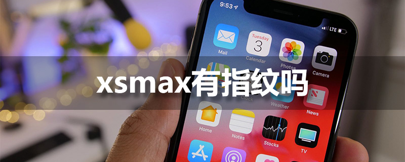 xsmax有指纹吗”